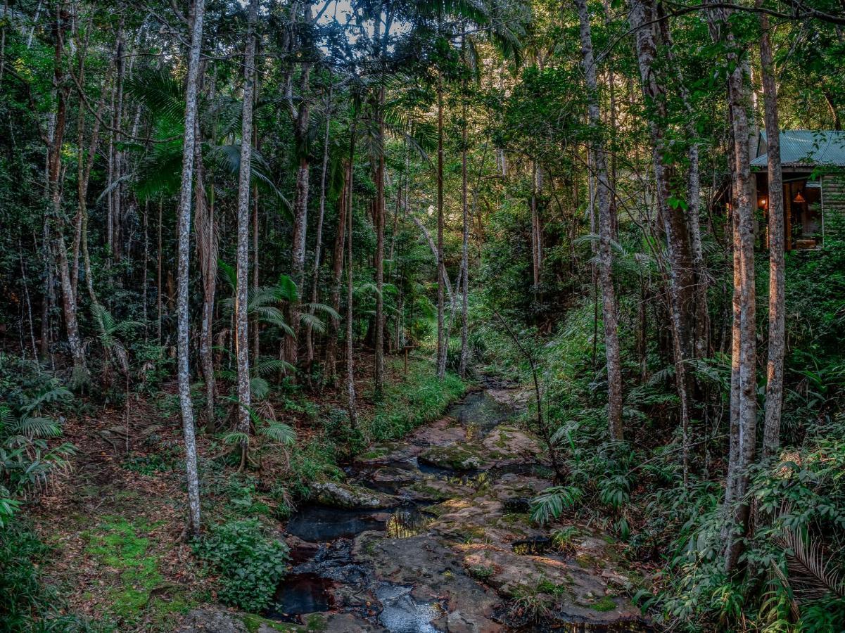 Narrows Escape Rainforest Retreat Montville Exterior foto