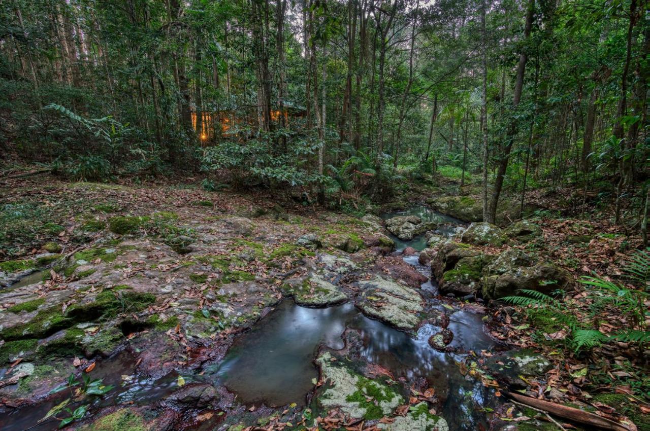 Narrows Escape Rainforest Retreat Montville Exterior foto