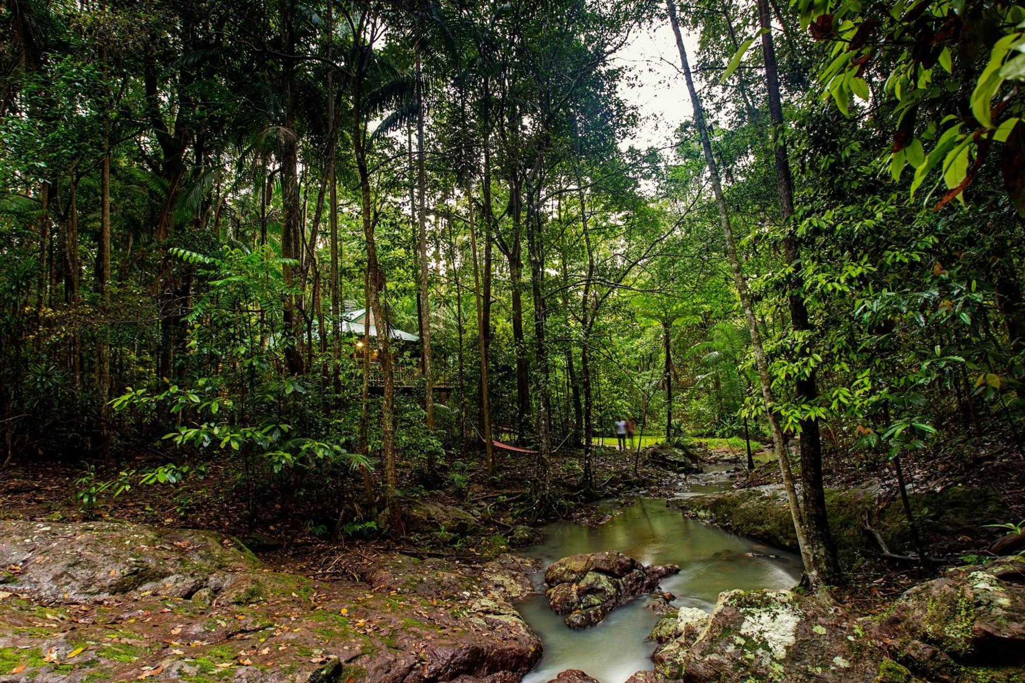 Narrows Escape Rainforest Retreat Montville Exterior foto