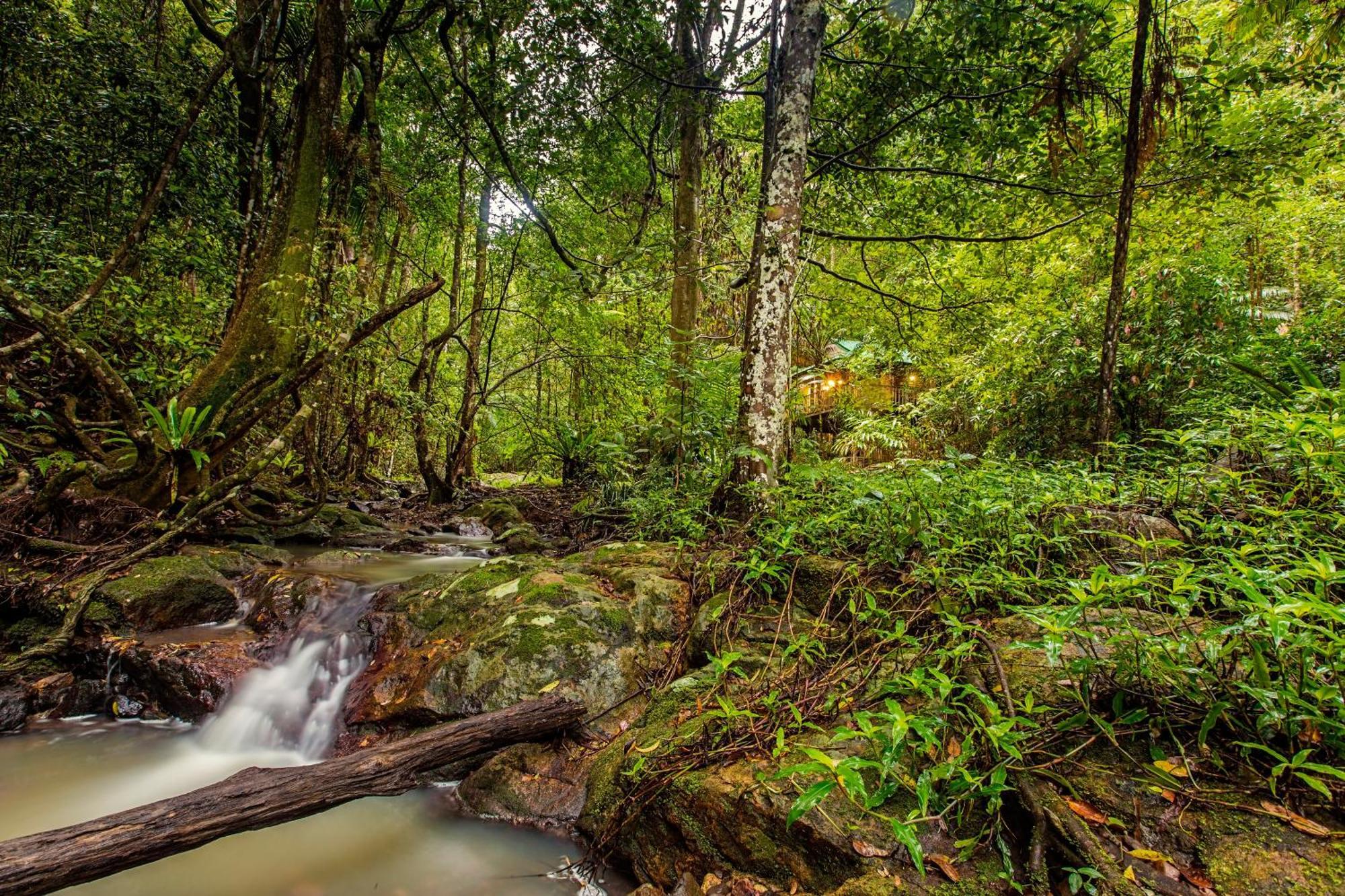 Narrows Escape Rainforest Retreat Montville Exterior foto